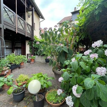 Apartment Gerberbachviertel Weinheim Exterior foto